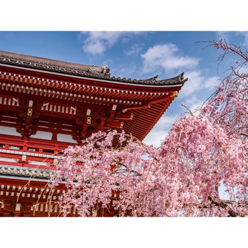 好食在關東旅遊｜日光東照宮.會津城.大內宿.酒藏見學.在地和牛美食五日-SJP24NRT13