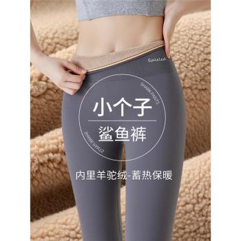 小個子鯊魚褲女外穿秋冬2024新款加絨加厚保暖打底高腰收腹芭比褲