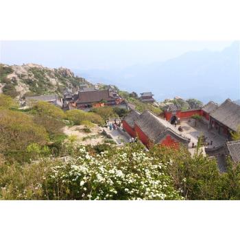 玩樂山東|五嶽泰山、曲阜孔廟、明水古城、青島自由行8日|4人成行、送eSIM上網 24CSN01MU4
