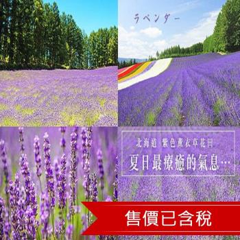 北海道~浪漫花火節.函館夜景.企鵝遊行.富良野花田.哈密瓜吃到飽.三大螃蟹溫泉五日｜一晚五星三晚溫泉-25ITHKD007