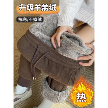 (免運)加絨加厚運動褲女秋冬束腳哈倫衛褲子冬季東北保暖外穿羊羔絨棉褲