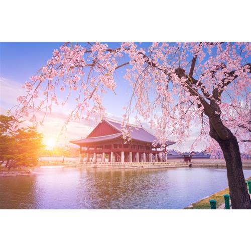 首爾旅遊｜愛玩樂天世界．鬼斧神工抱川藝術谷．香草島樂園．微風徐徐京仁遊覽船．風靡塗鴉秀．咔滋炸豬排五日｜高雄來回-24JKSELCIR