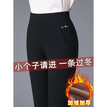 九分褲小個子媽媽褲加絨加厚女士冬季新款保暖外穿直筒彈力休閑褲