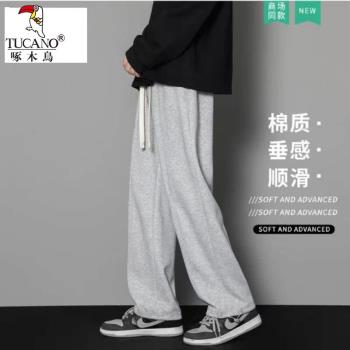 啄木鳥立領夾克男士加絨加厚保暖韓版修身短款金貂絨毛呢大衣外套