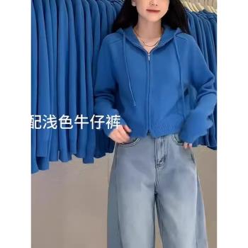 藍色短款連帽針織外套女2024新款秋冬高階感別致獨特漂亮毛衣開衫