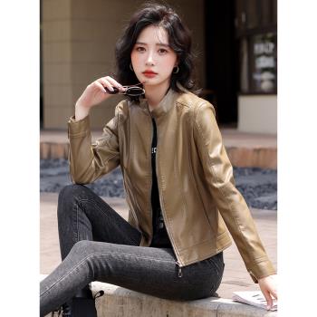 海寧真皮皮衣女短款2024秋季新款綿羊皮外套女韓版顯瘦立領皮夾克