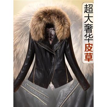 海寧真皮皮衣女短款修身外套2024秋冬韓版貉子毛領收腰顯瘦夾克潮