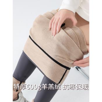 800克東北零下40度鯊魚褲女秋冬季外穿加絨保暖芭比褲漠河防寒褲