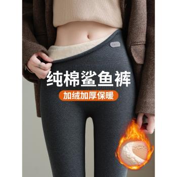棉鯊魚褲秋冬季加絨保暖加厚外穿棉褲女2024新款特厚羊羔絨打底褲