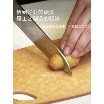 (免運)SAGE美國進口砧板切菜板抗菌不易發黴家用粘板世廚水果廚房案板