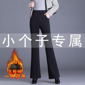 小個子特厚羊羔絨微喇褲女秋冬季加絨加厚高腰顯瘦一體絨保暖褲子