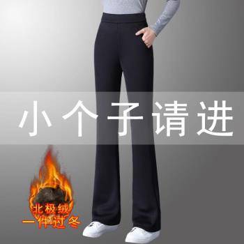 小個子秋冬加絨加厚微喇褲女高腰顯瘦黑色長褲休閑大碼保暖喇叭褲