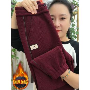 冬季新款雪尼爾加絨加厚休閑褲女直桶保暖束腳顯瘦遮肉大碼哈倫褲