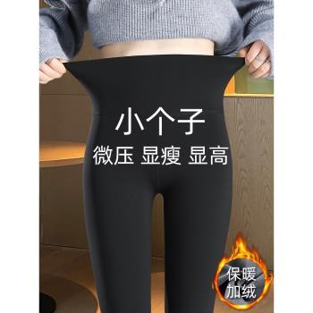 鯊魚褲小個子八分冬季加絨加厚外穿打底褲女春秋九分瑜伽芭比褲子