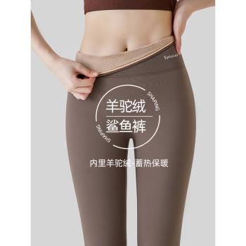 冬季新款羊羔絨加厚褲女秋冬高腰加絨保暖厚打底褲外穿褲錦綸氨綸