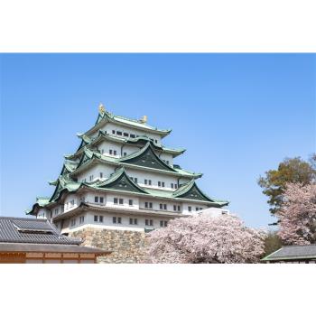 暑假預購折2千～親子旅遊｜名古屋樂高樂園.高原牧場.海豚秀.磁浮鐵道館.模型DIY.合掌村.4晚萬豪系列飯店.溫泉六日-SJP25NGO18