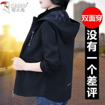 啄木鳥防風防水保暖連帽沖鋒衣