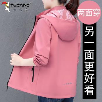 啄木鳥沖鋒衣女士短款2024年新款春秋裝風衣中年媽媽休閑早春外套