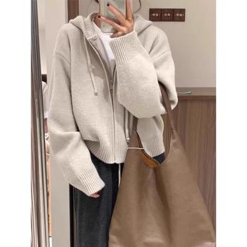連帽拉鏈開衫設計浣熊絨軟糯毛衣女秋冬加厚外穿外搭針織外套上衣