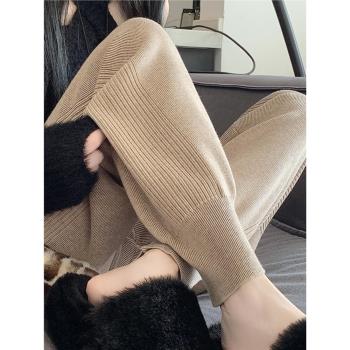 春秋加厚針織休閑褲子女冬季顯瘦小腳哈倫褲小個子九分窄版糯米褲