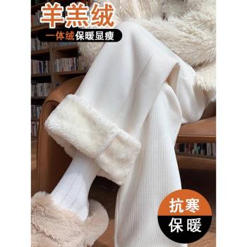 白色加絨褲子女秋冬羊羔絨小個子冬季加厚今年流行直筒拖地闊腿褲