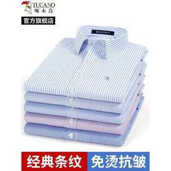 啄木鳥條紋襯衫男士長袖2025春夏爸爸商務中年裝免燙抗皺工裝襯衣
