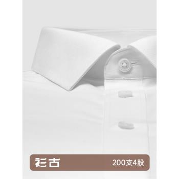200支4股DP成衣免燙純棉長袖襯衫男拉弗商務洛藍正裝高支白色襯衣