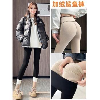 小個子高腰打底褲女士春秋修身顯瘦加絨加厚鯊魚褲彈力瑜伽芭比褲