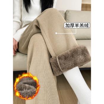 羊羔絨窄版闊腿褲女秋冬新款燈芯絨褲子小個子高腰加絨保暖直筒褲