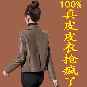 海寧真皮皮衣女士外套小個子2024新款春秋高階休閑短款綿羊皮夾克
