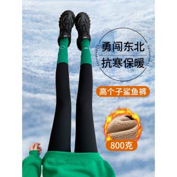 800克東北加絨鯊魚褲女外穿秋冬季高個子加厚加長保暖打底芭比褲