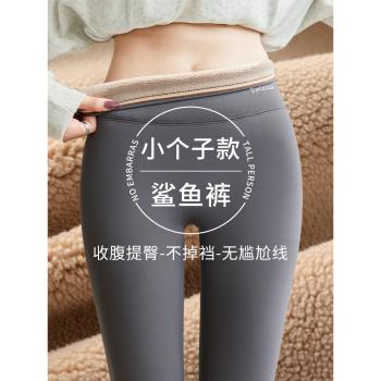 小個子加絨灰色鯊魚褲女秋冬外穿2025新款加厚芭比褲冬款打底棉褲