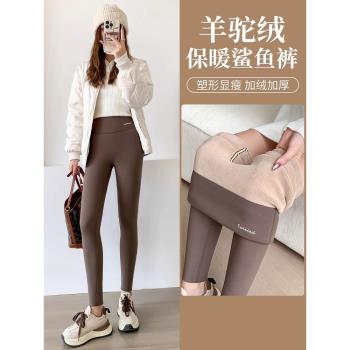 小個子鯊魚褲女秋冬加絨外穿加厚保暖收腹打底瑜伽芭比褲2024新款