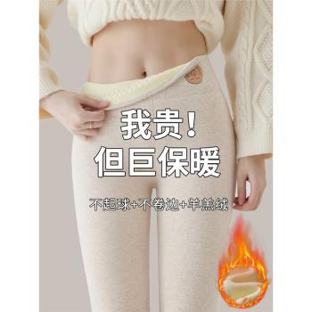 純棉羊羔絨加絨打底褲女秋冬外穿加厚棉絨褲大碼特厚保暖褲毛秋褲