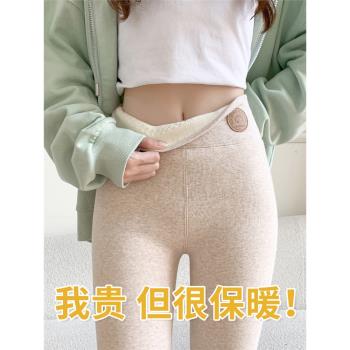 加絨純棉打底褲女秋冬款外穿加厚棉褲大碼特厚羊羔絨保暖褲毛秋褲