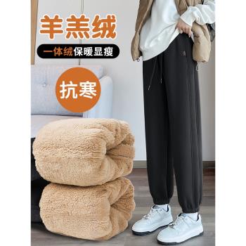 加絨加厚運動褲女秋冬羊羔絨衛褲子2025新款冬季東北特厚外穿棉褲