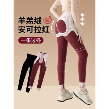 羊羔絨鯊魚褲女外穿加絨加厚瑜伽芭比褲秋冬季高腰東北保暖棉褲