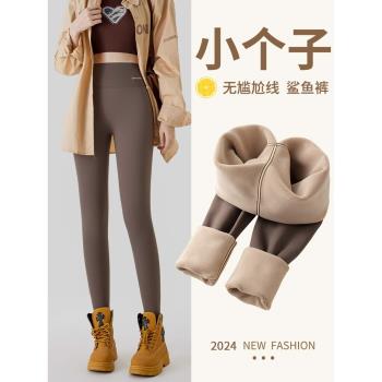 小個子加絨鯊魚褲女秋冬外穿2025新款加厚芭比褲冬款保暖打底棉褲