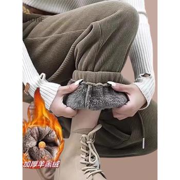 燈芯絨哈倫褲女2025秋冬新款寬松大碼加絨加厚雪尼爾休閑束腳褲子