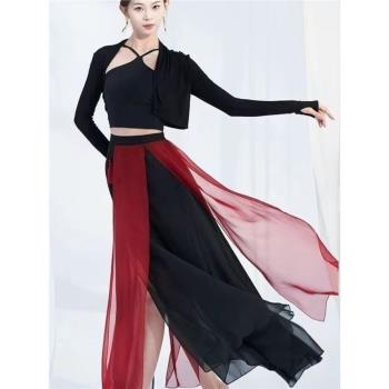 成人古典舞練功服2023新款中式服裝女演出服女飄逸仙氣舞蹈服套裝