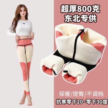 東北超厚絨鯊魚褲女冬季外穿加絨加厚打底褲高腰懸浮芭比褲800克
