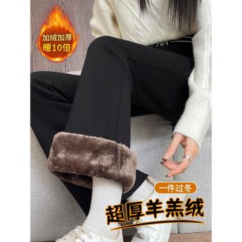 加絨微喇褲女秋冬季東北保暖棉褲2025新款加厚羊羔絨休閑喇叭褲子