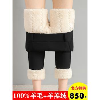 羊羔絨棉褲女士外穿加絨加厚打底褲2025年冬季高腰大碼羊毛保暖褲