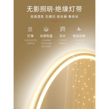 智慧led化妝鏡帶燈女生臥室梳妝臺鏡子家用壁掛式異形補光梳妝鏡