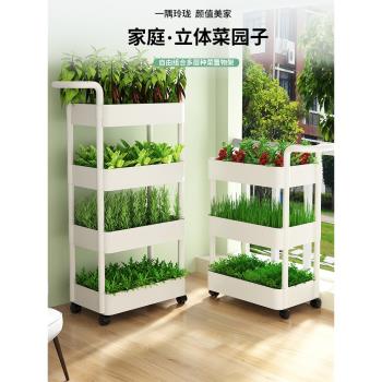 陽臺菜架子多層種菜神器立體栽培置物架多肉蔬菜草莓專用室內花架
