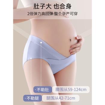 孕婦內褲純棉抗菌加長襠低腰託腹懷孕期專用孕中晚期大碼三角褲頭