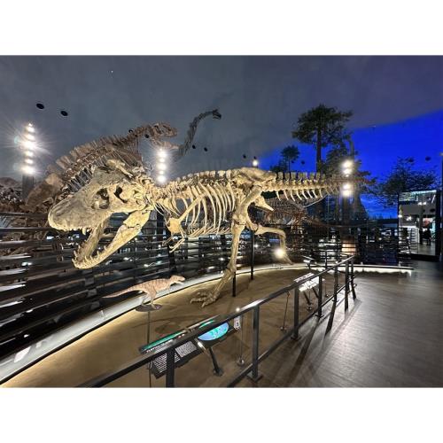 兒童最高折一萬｜暑假親子～名古屋樂高樂園.水族館.恐龍博物館.自動車博物館.蕎麥麵DIY.甜蝦吃到飽.溫泉五日｜萬豪系列_SJP25KMQ24