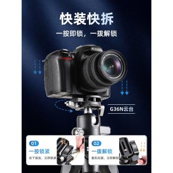 【低重心更穩定】百諾玄武系列TR258CK/298CK/328CK/329CK專業碳纖維三腳架單反攝影支架獨腳架無中軸三角架