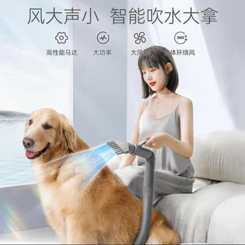 寵物吹風機中大型犬狗狗大功率吹風機狗狗金毛貓咪吹毛烘干箱用品床笠