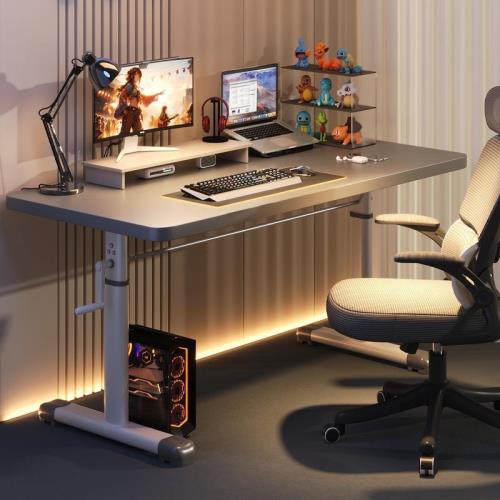 可升降 桌電腦臺式電競 桌書 桌學生家用學習 桌簡約辦公 桌 子工作 臺收納套裝禮物